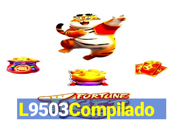 L9503Compilado