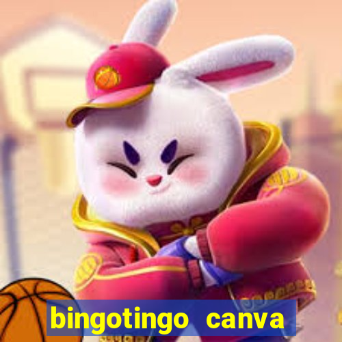 bingotingo canva pro gratis