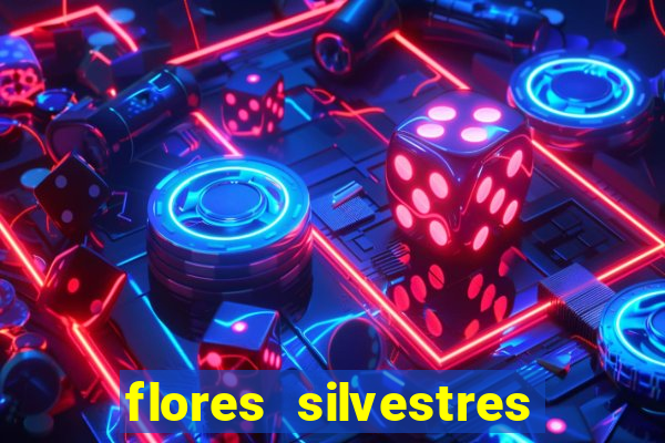 flores silvestres desbravadores desbravadores 25