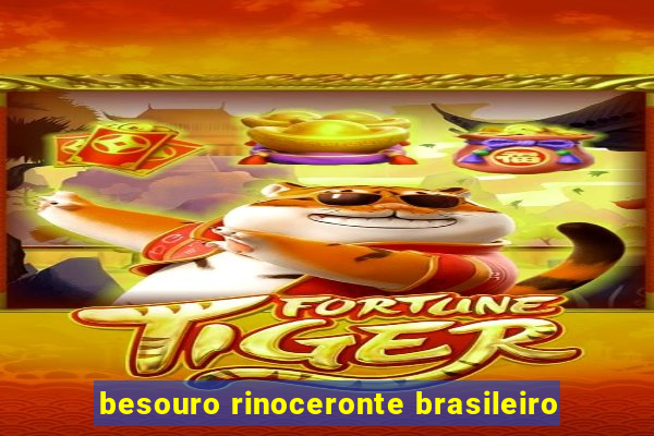 besouro rinoceronte brasileiro