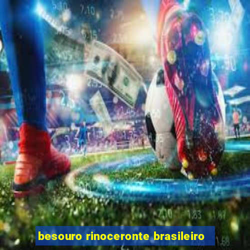 besouro rinoceronte brasileiro