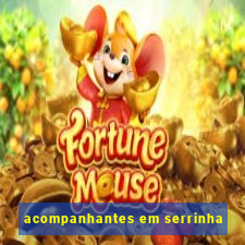 acompanhantes em serrinha