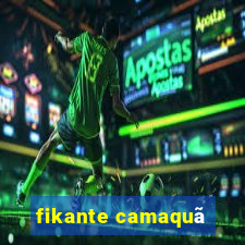 fikante camaquã