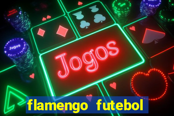 flamengo futebol play hd