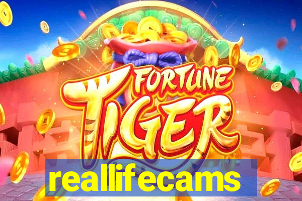 reallifecams