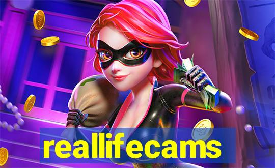 reallifecams