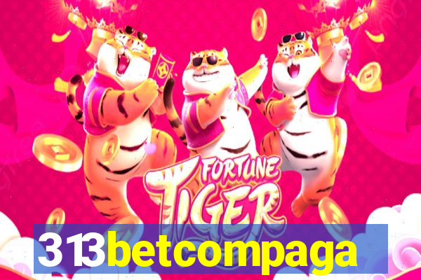 313betcompaga