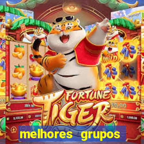 melhores grupos telegram +18