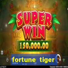 fortune tiger cassino pix