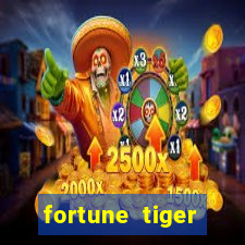 fortune tiger cassino pix