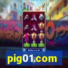 pig01.com