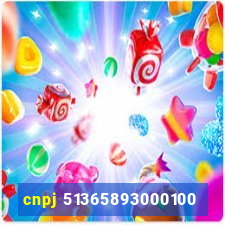 cnpj 51365893000100