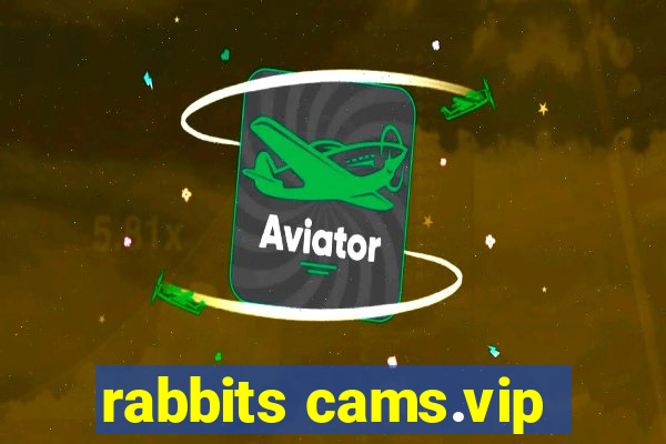 rabbits cams.vip