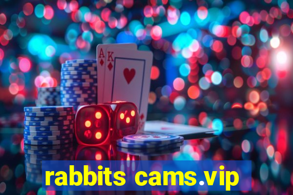 rabbits cams.vip