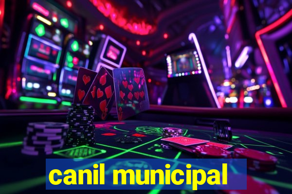 canil municipal