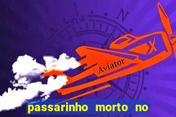 passarinho morto no quintal significado espiritual