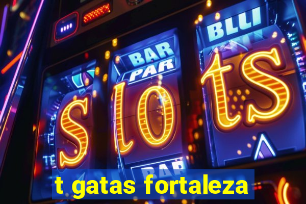 t gatas fortaleza