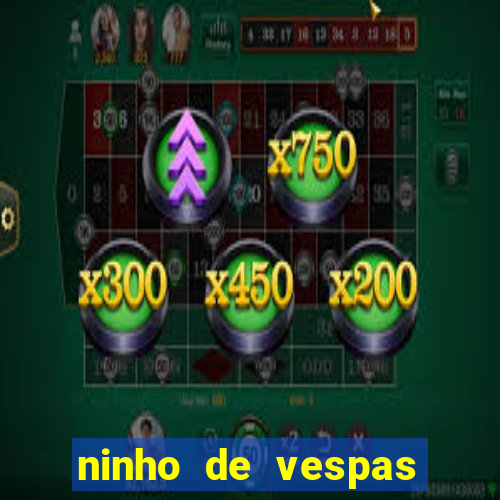 ninho de vespas significado espiritual