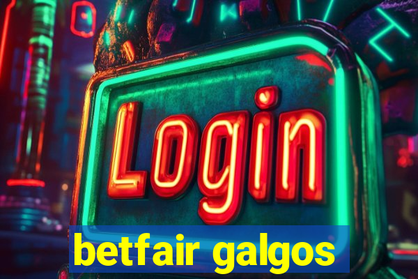 betfair galgos