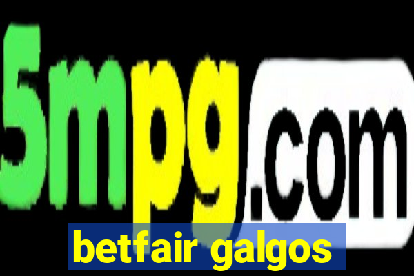 betfair galgos