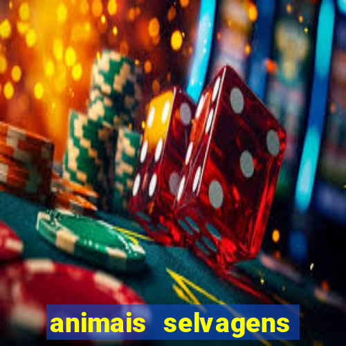 animais selvagens fotos e nomes