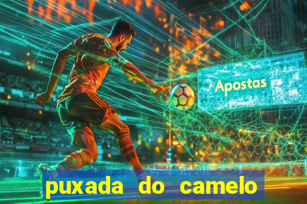 puxada do camelo jogo do bicho