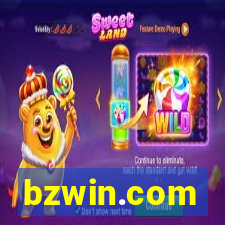 bzwin.com