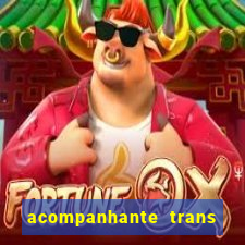 acompanhante trans de santos