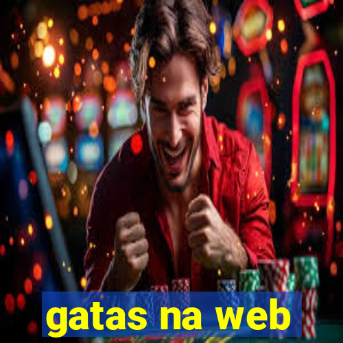 gatas na web