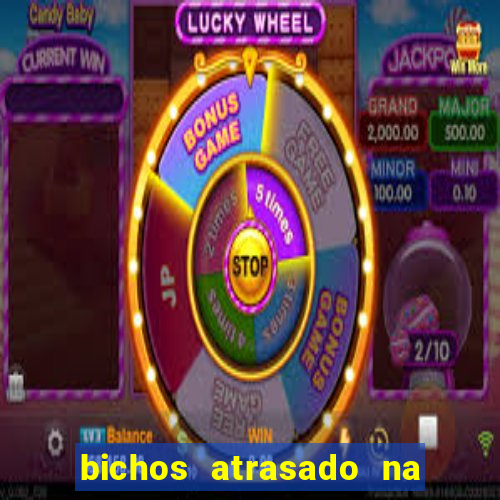 bichos atrasado na loteria dos sonhos