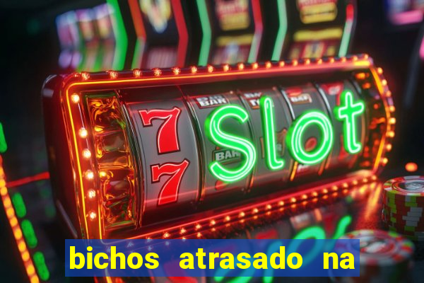 bichos atrasado na loteria dos sonhos