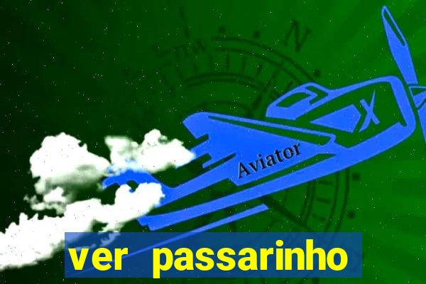 ver passarinho morto significado espiritual