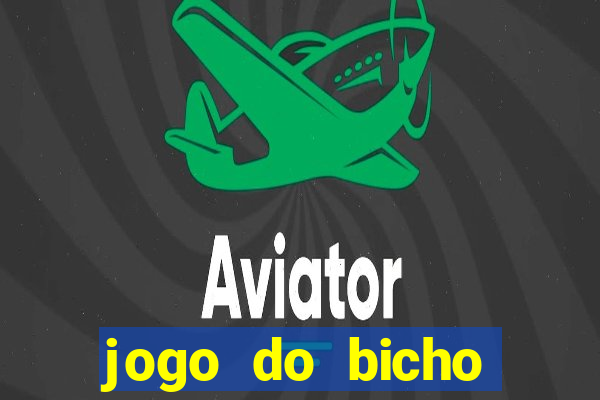 jogo do bicho crash bingo