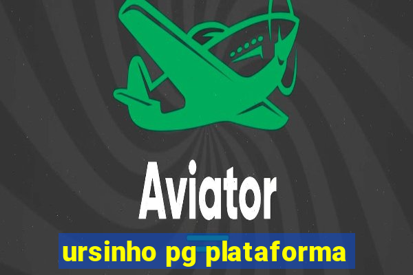 ursinho pg plataforma