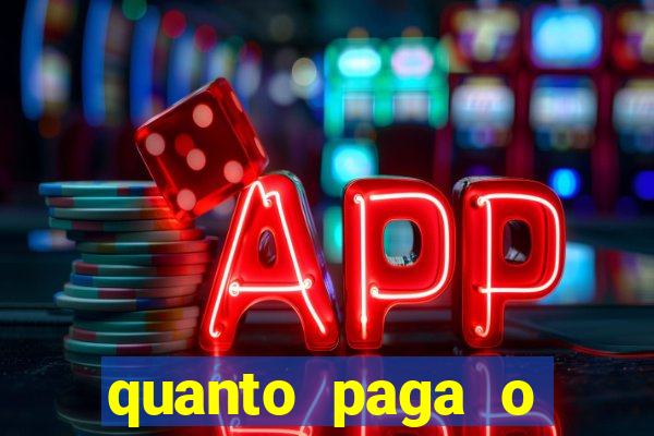 quanto paga o jungle fight