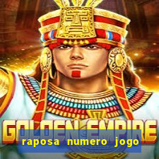raposa numero jogo do bicho