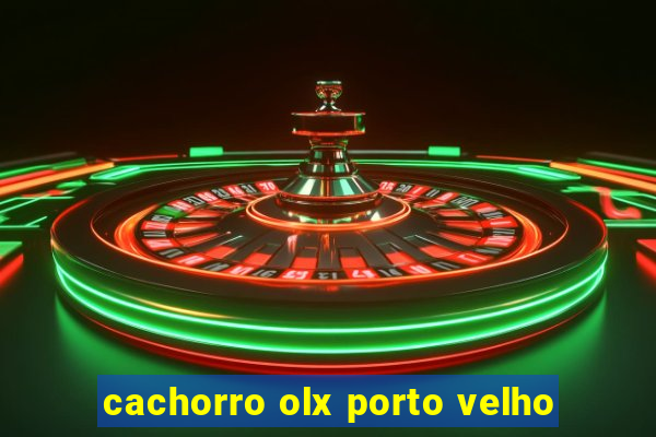 cachorro olx porto velho