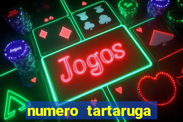 numero tartaruga jogo do bicho