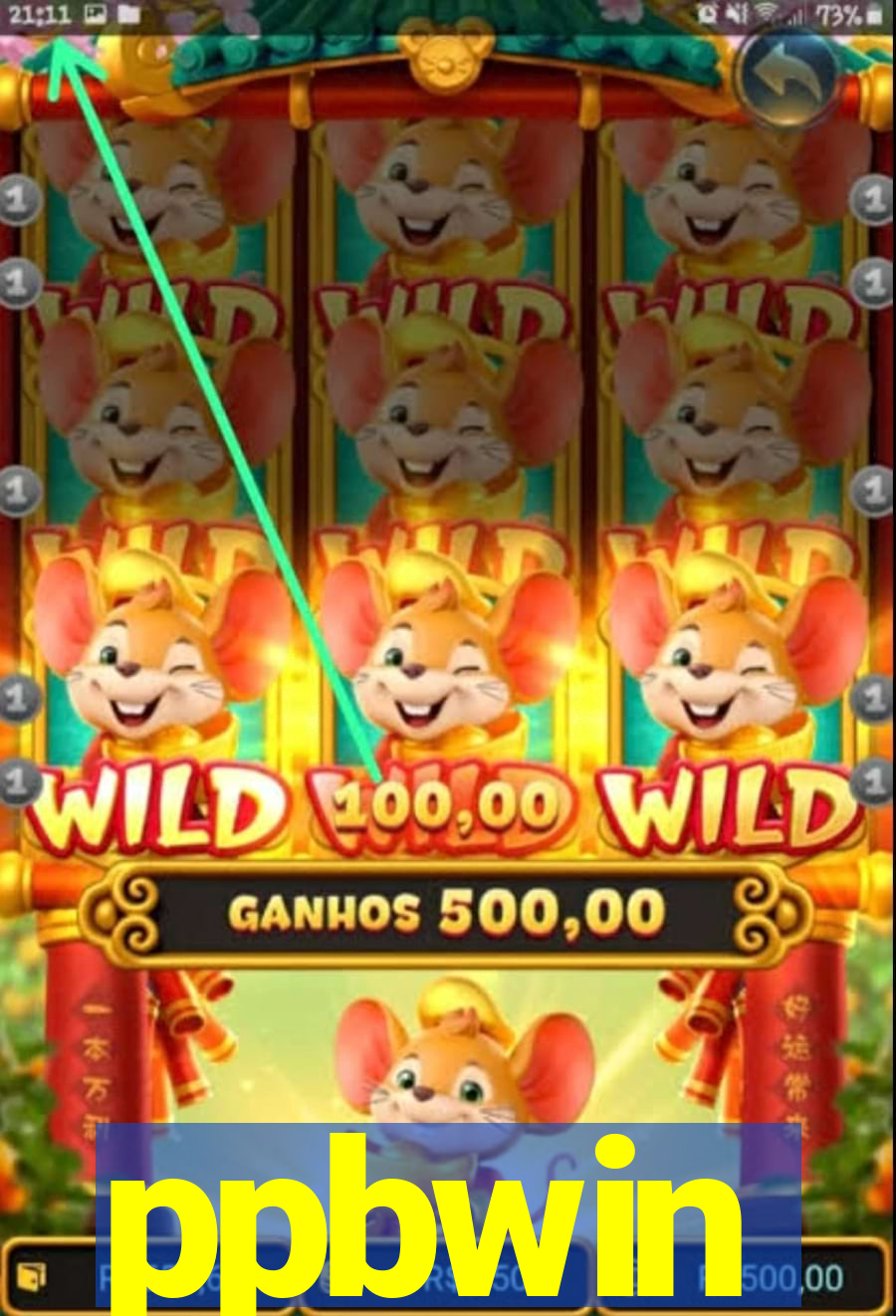 ppbwin