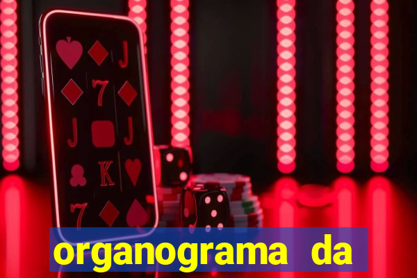 organograma da cacau show