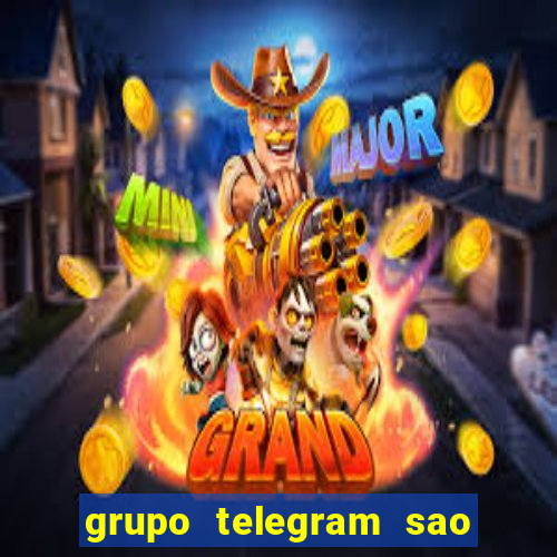 grupo telegram sao jose do rio preto