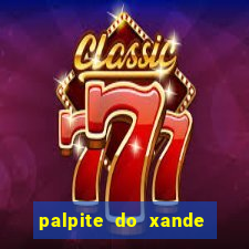 palpite do xande de hoje