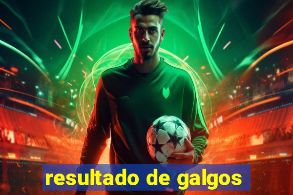 resultado de galgos