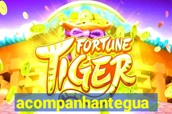 acompanhanteguanambi