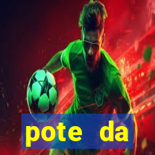 pote da prosperidade riqueza e fortuna 2024