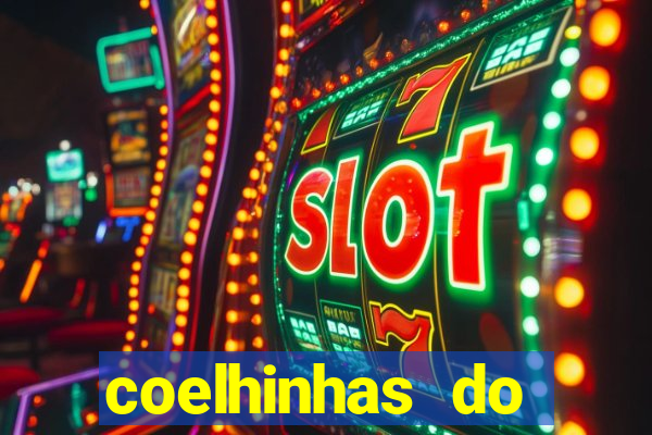 coelhinhas do brasil acompanhantes