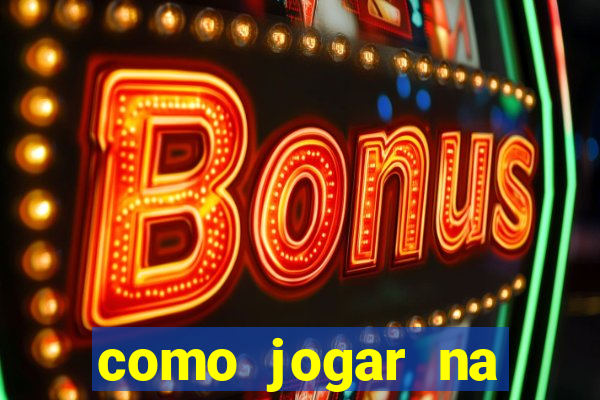 como jogar na lotinha do jogo do bicho
