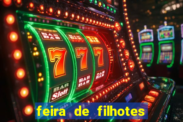 feira de filhotes porto alegre