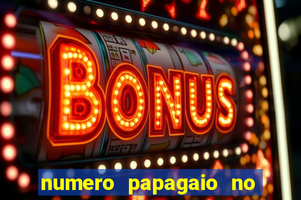 numero papagaio no jogo do bicho