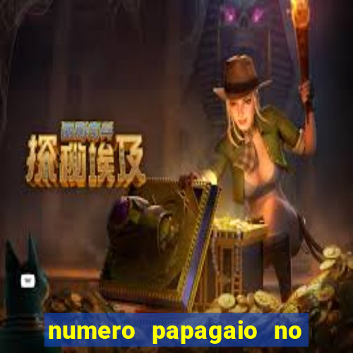numero papagaio no jogo do bicho